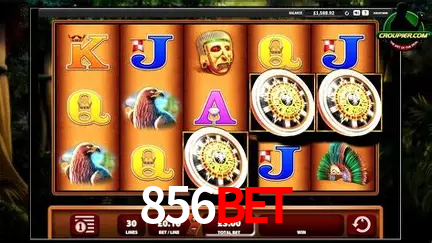 Cassino ao vivo com dealers reais na 856bet